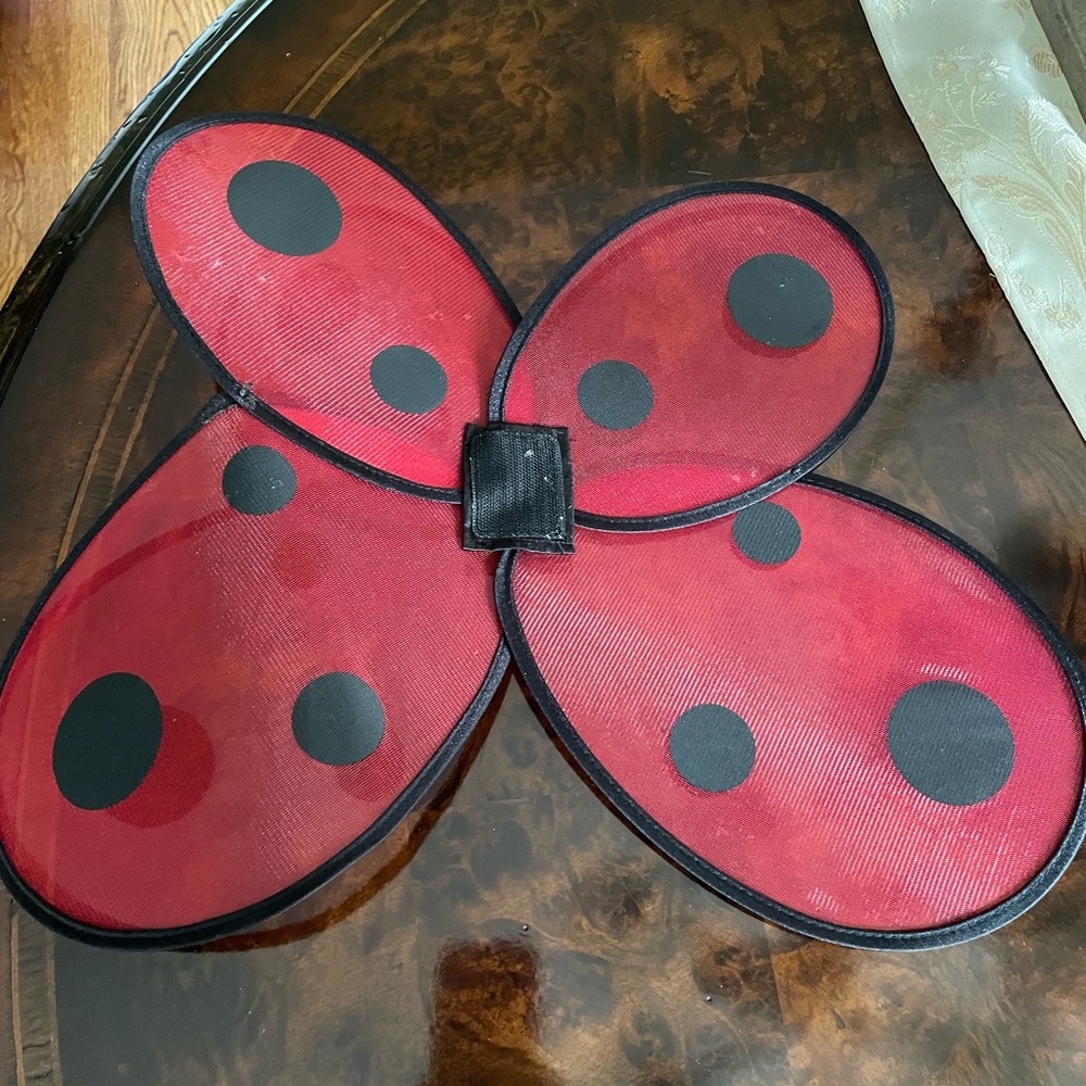 Lady bug costume. Size 2t - Picture 5 of 6